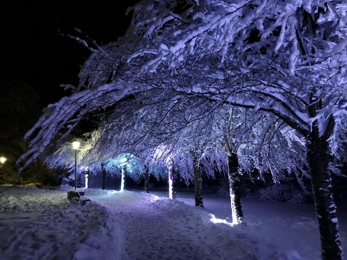 Schoene Bergsicht Goslar Dış mekan fotoğraf