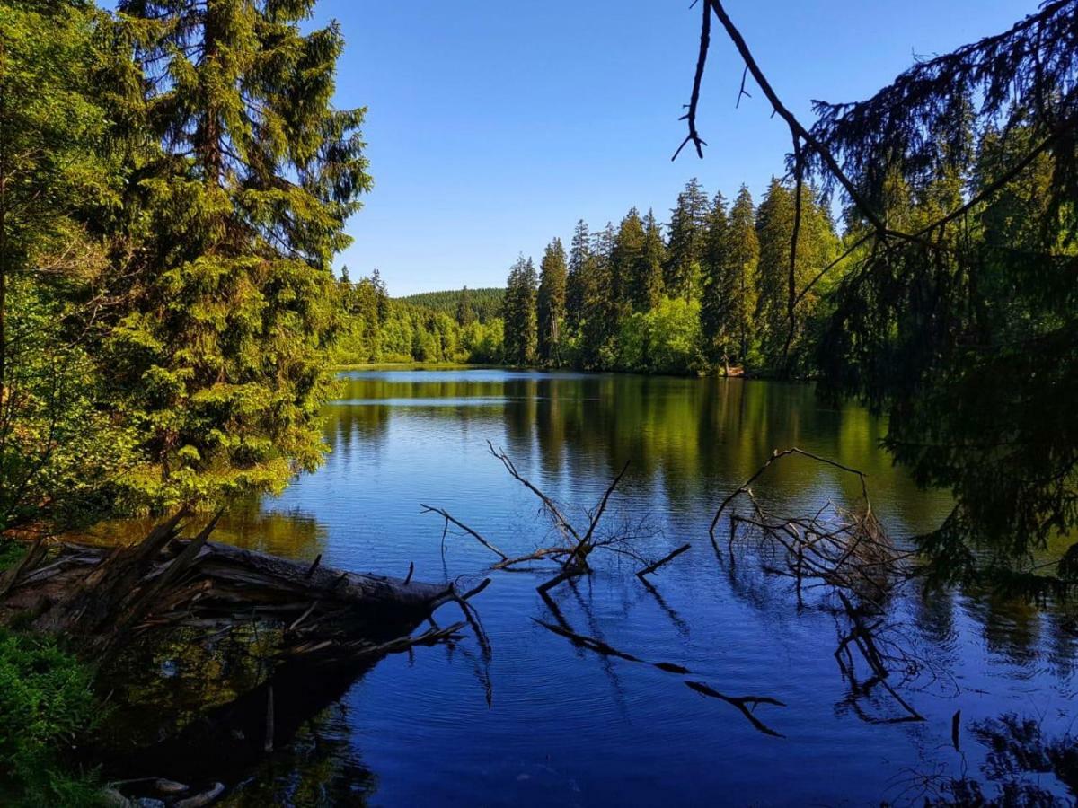 Schoene Bergsicht Goslar Dış mekan fotoğraf